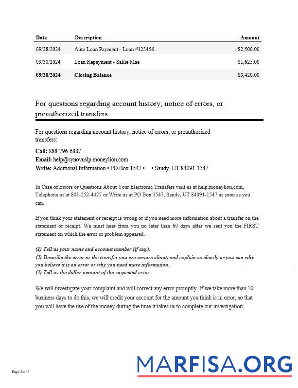 Blank USA Synovus bank statement word 3 pages 2 example